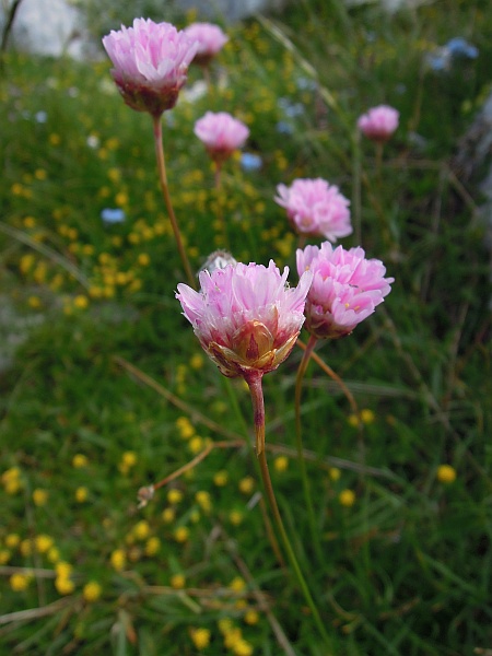 I colori delle rupi