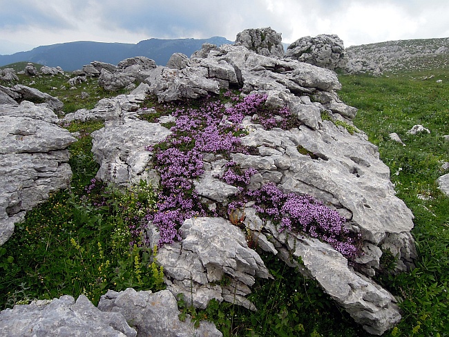 I colori delle rupi