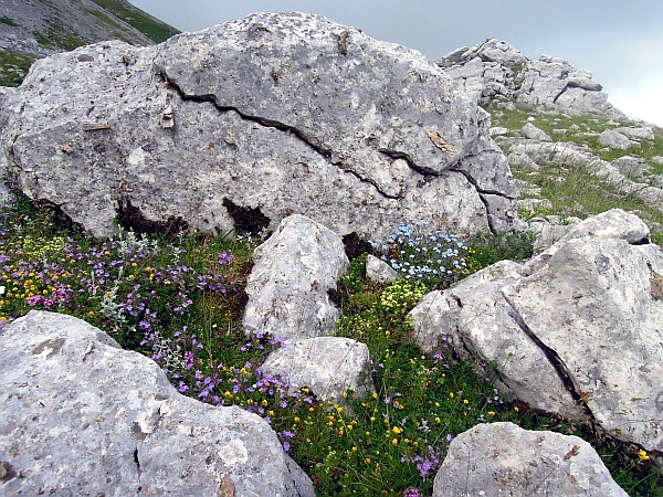 I colori delle rupi