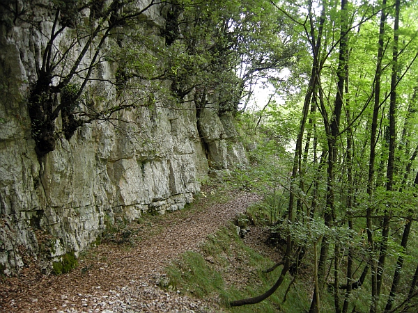 Vallone Lacerno