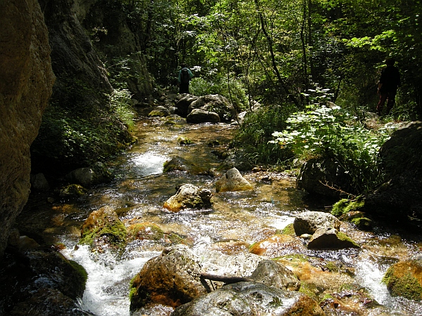 Vallone Lacerno