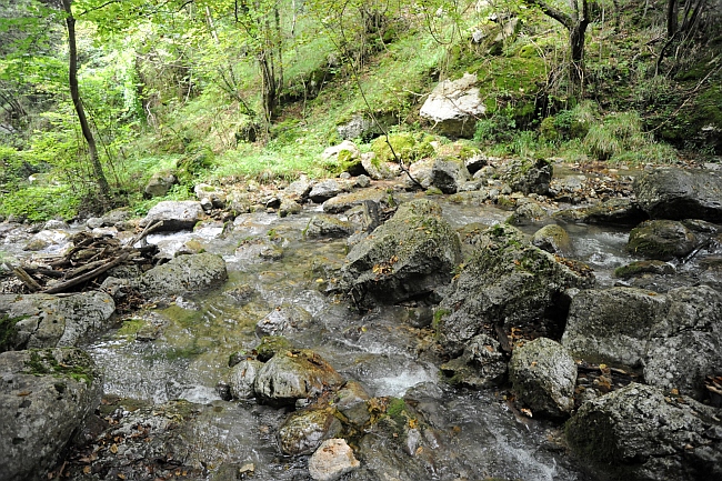 Vallone Lacerno