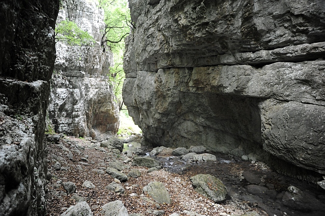 Vallone Lacerno