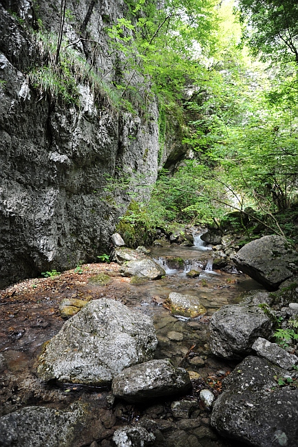 Vallone Lacerno