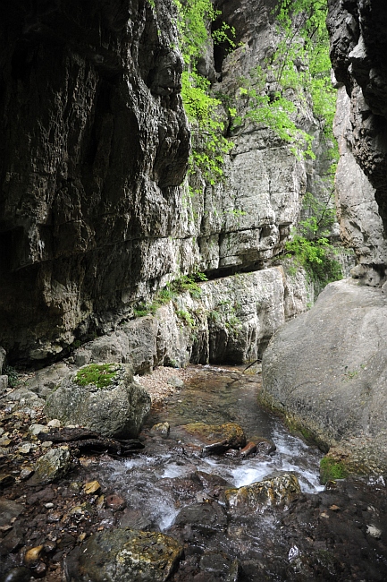 Vallone Lacerno