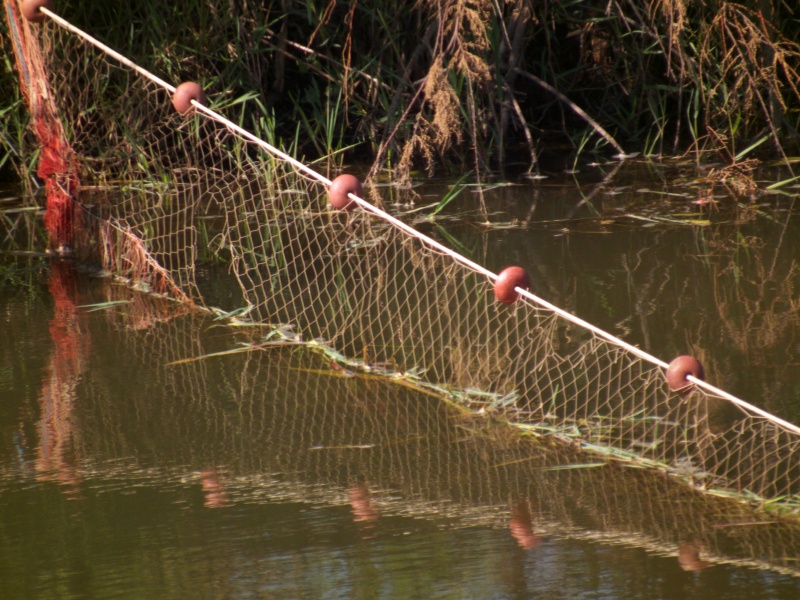 Reti da pesca