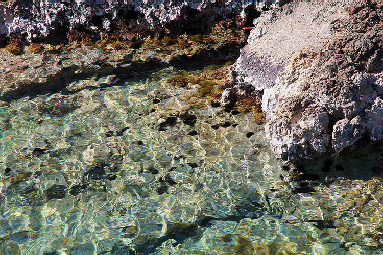 Isola di Giannutri......