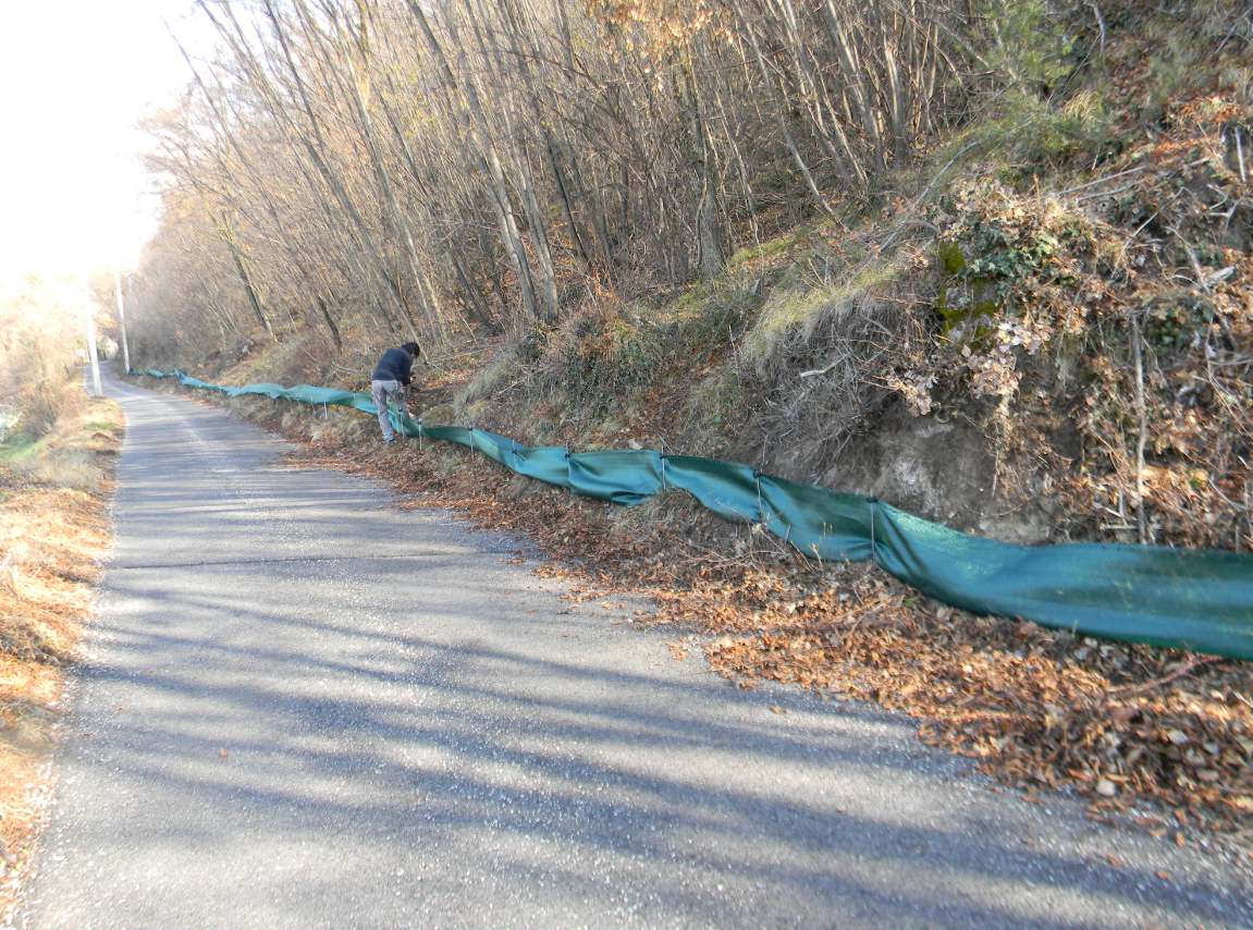 Esperimento salvataggio salamandre