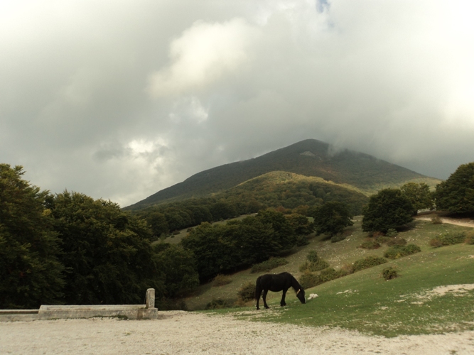 Pomeriggio A Campo Catino