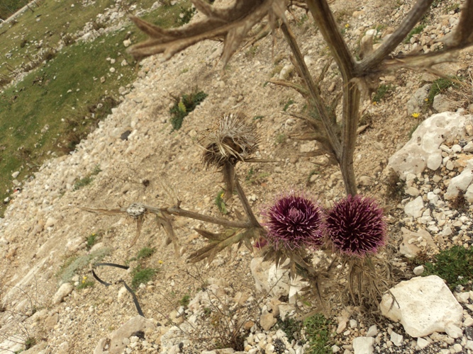 Pomeriggio A Campo Catino