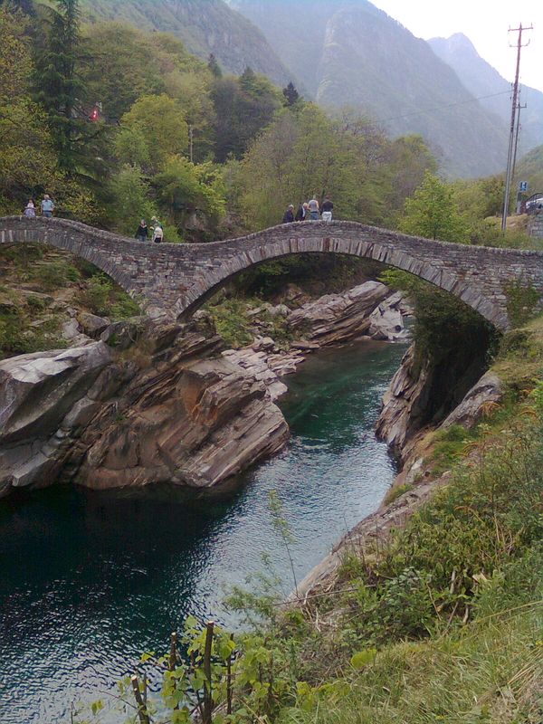 Ramarro in Val Maggia!