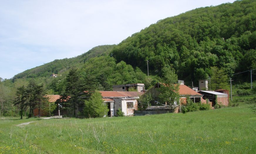 Alcune foto di biacchi in natura