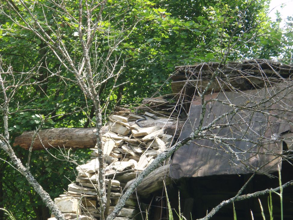 Paese abbandonato in provincia di Pavia con serpente