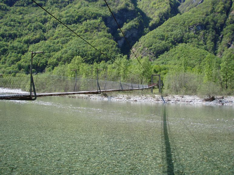 Ramarro in Val Maggia!