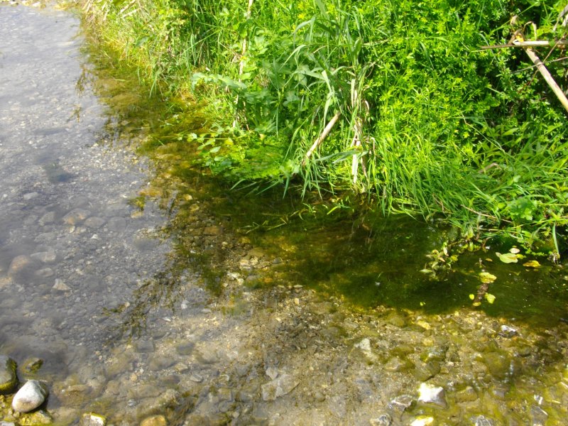 Cilento - Fiume Lambro