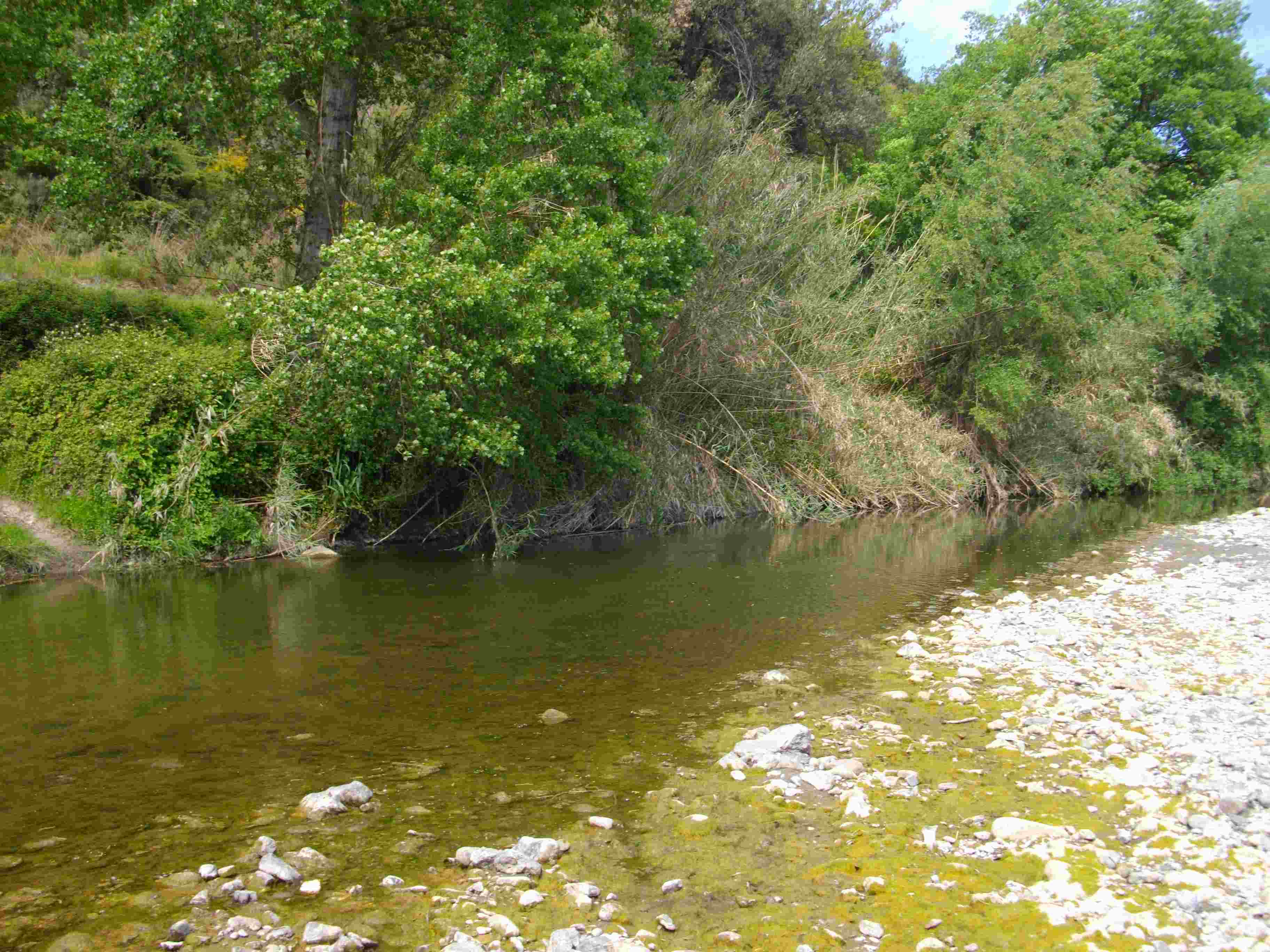 Cilento - Fiume Lambro