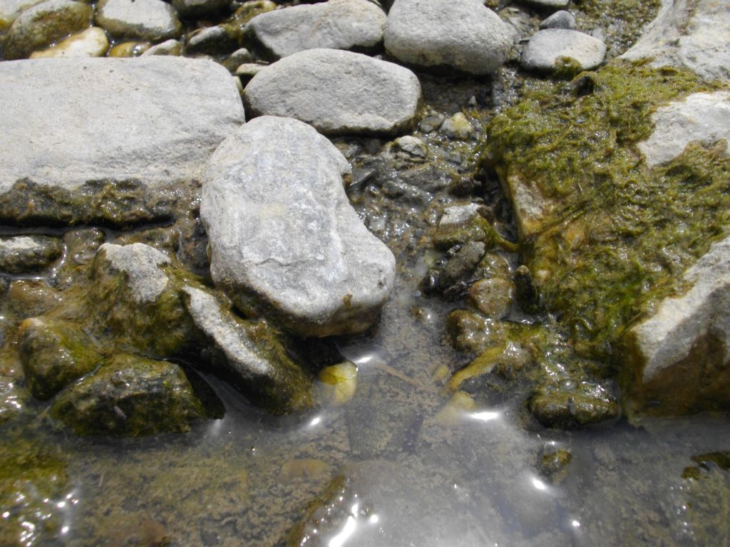 Cilento - Fiume Lambro