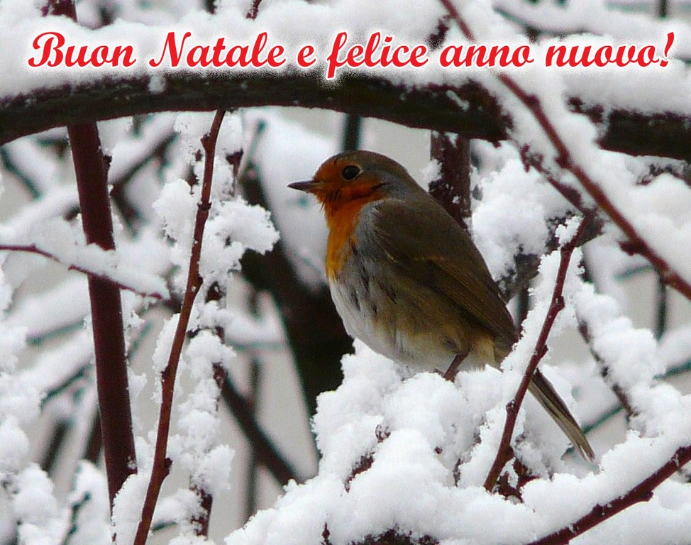 Buon Natale e Felice Anno Nuovo