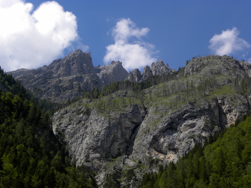 Una giornata molto fortunata.