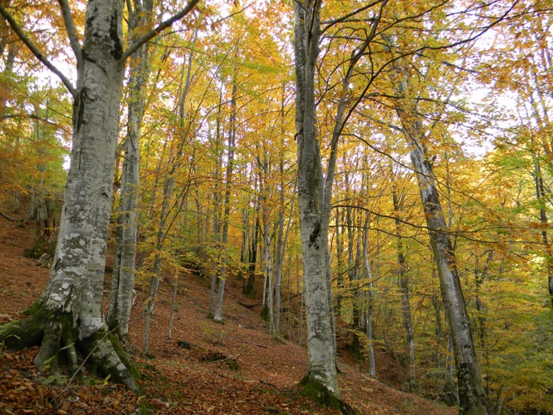 Ottobre al Lago del Brugneto