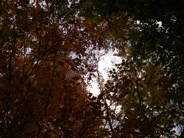 Ottobre al Lago del Brugneto