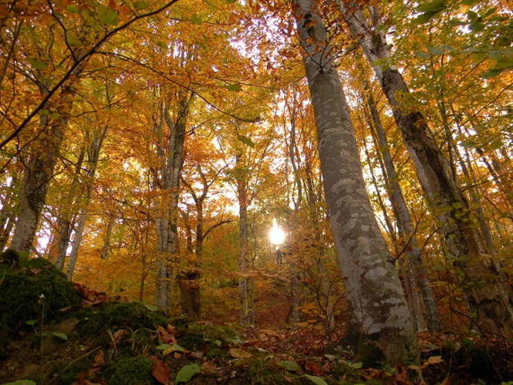 Ottobre al Lago del Brugneto