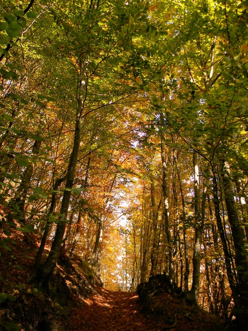 Ottobre al Lago del Brugneto