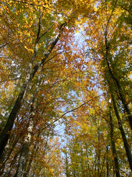 Ottobre al Lago del Brugneto