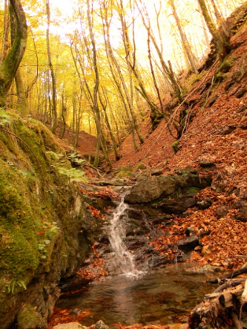 Ottobre al Lago del Brugneto