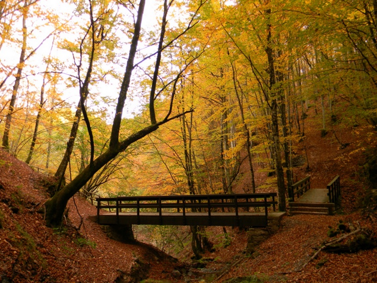 Ottobre al Lago del Brugneto