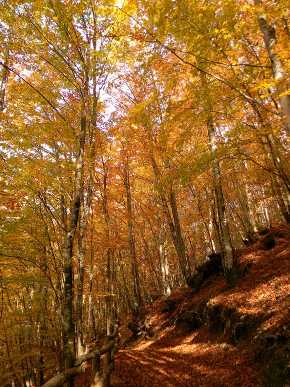 Ottobre al Lago del Brugneto