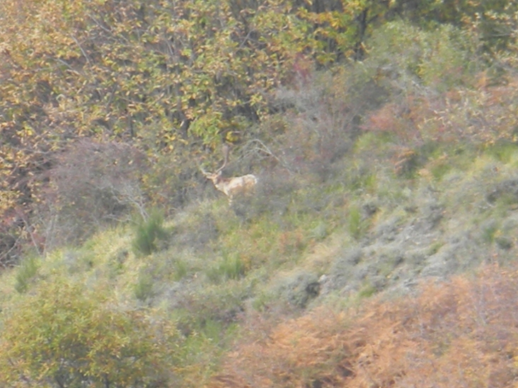 Ottobre al Lago del Brugneto