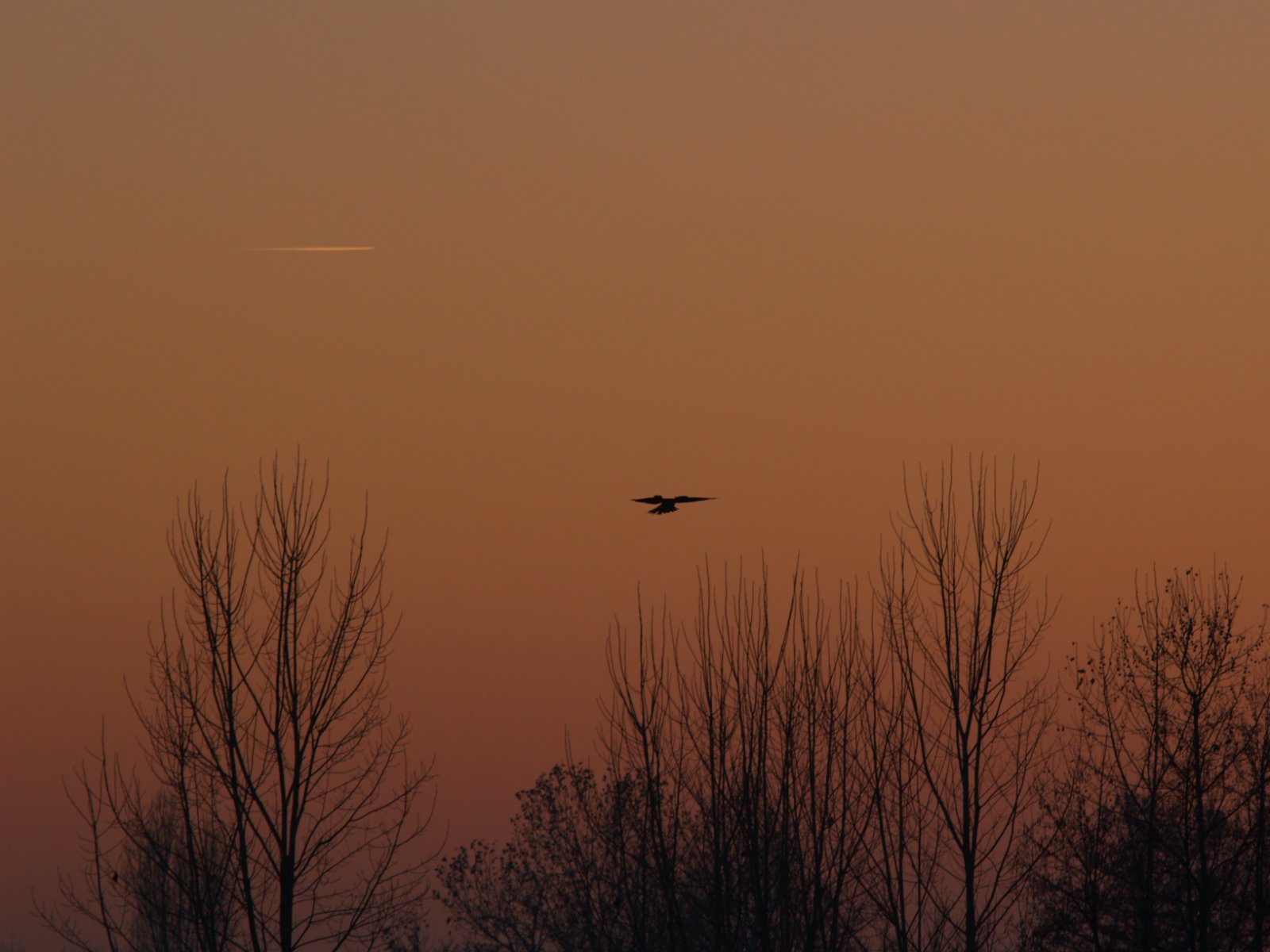 GHEPPIO - Spirito Santo al tramonto