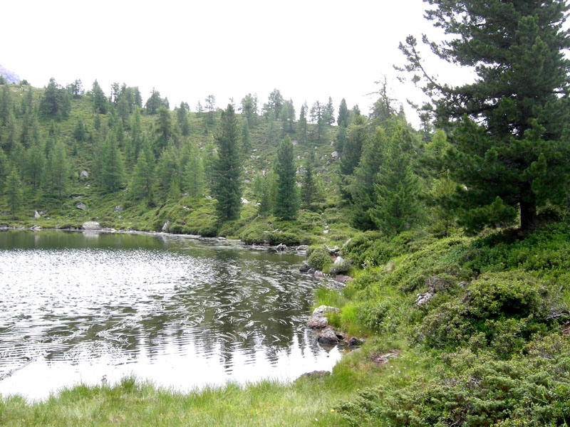 Laghi.......del TRENTINO