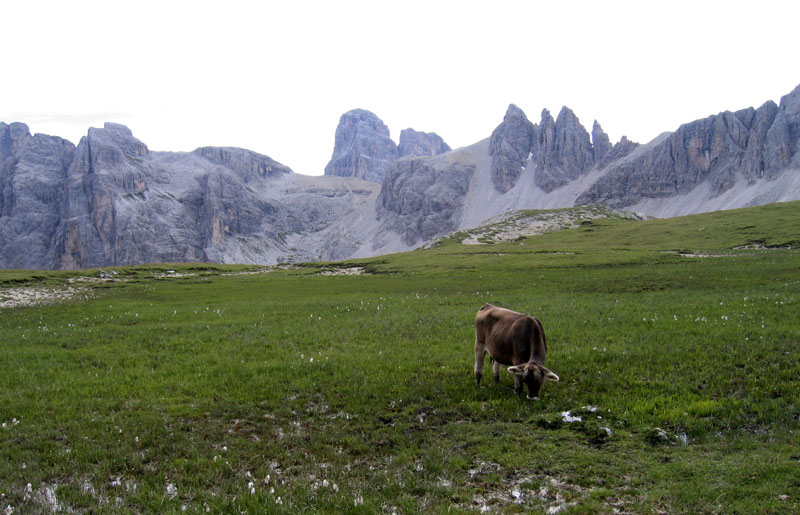 Tre Cime di Lavaredo.......