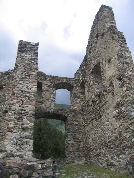 Castelli,Torri e Palazzi.....del Trentino