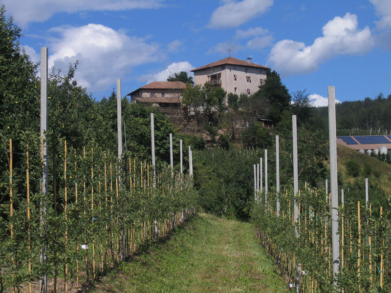 Castelli,Torri e Palazzi.....del Trentino