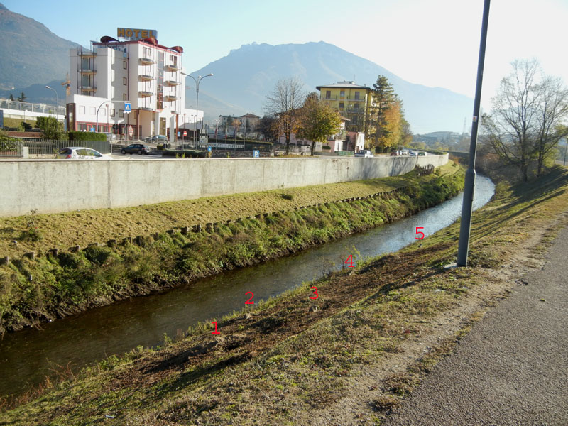 Conigli - Fiume Adige