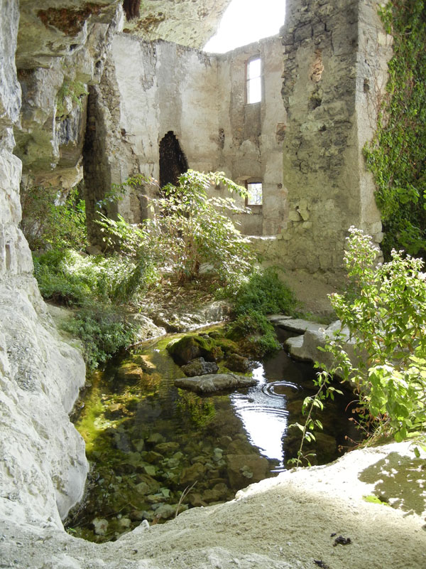 Castelli,Torri e Palazzi.....del Trentino