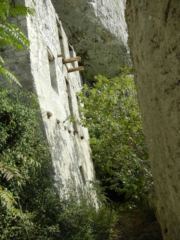 Castelli,Torri e Palazzi.....del Trentino