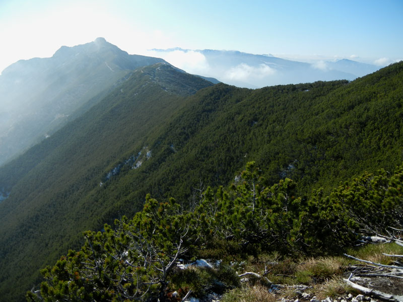 Traversata.....della Vigolana