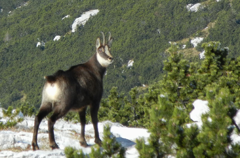 Traversata.....della Vigolana