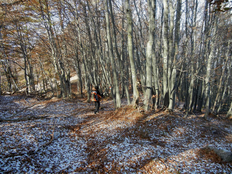 Traversata.....della Vigolana