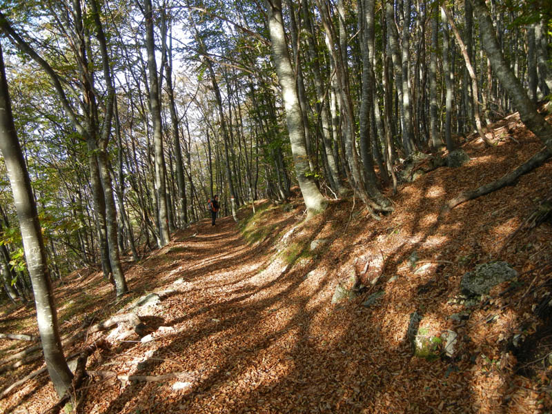 Traversata.....della Vigolana