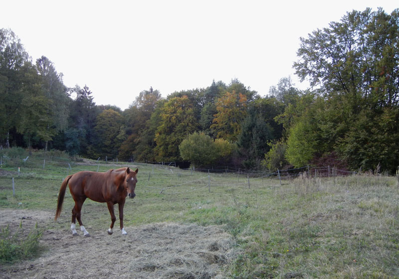 Traversata.....della Vigolana