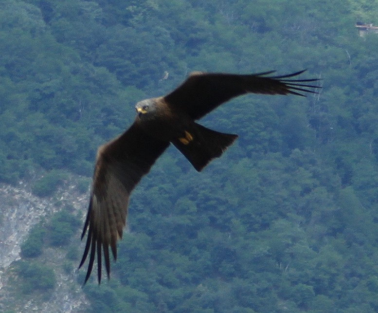 Sul cielo di Como