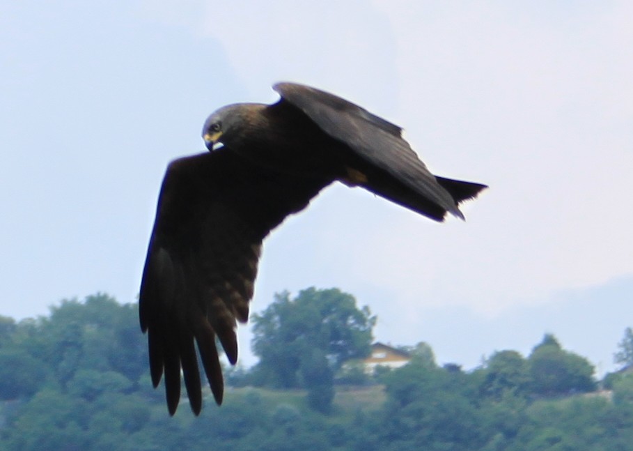 Sul cielo di Como