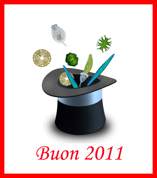 Buon Anno ...