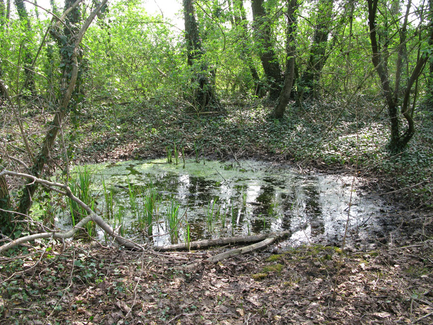 sorgenti a ovest di Treviso