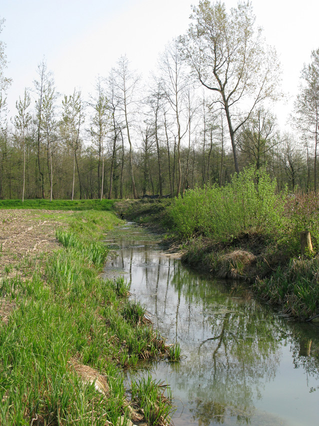 sorgenti a ovest di Treviso